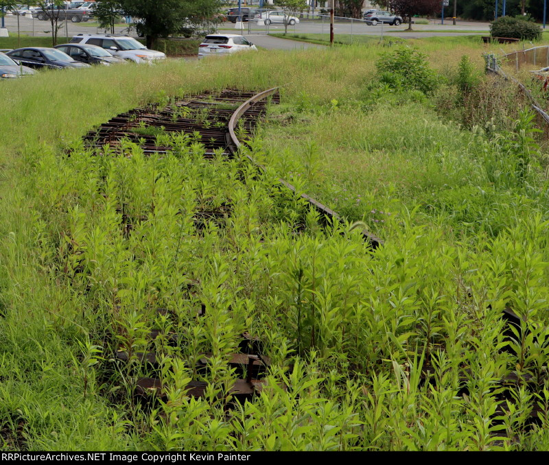 Siding in the weeds